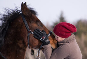 Psychoterapie pomocí koní